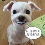 [댓글부탁해] 남사친이 나 예쁘대...ㅋㅋ 어이없네