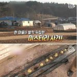 [드루와] <b>농촌</b>에 나타난 무도둑