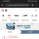 블링크들아 이글 가서 말리라고