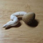 너희 <b>쭉정이</b> 이론 아냐?