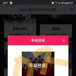 [스키즈] <b>투표</b>인증