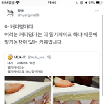 경기도 4년제vs서울 전문대