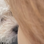 [더보이즈] 김영훈 <b>솜털</b>..