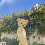 [TXT] 빅<b>전연</b>은 곰돌이탈 해도 섹시하게 보일 수 있는거임?