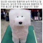 히히 오늘 성형외과 갔는디 이쁘다고 칭찬받았덩