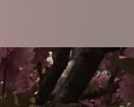 이거 <b>오타</b>일까 멍청이일까???