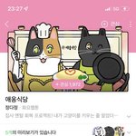 수능 끝나면 다들 염색할줄 알앗는데