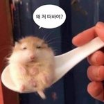 하...편의점 가고 싶은데