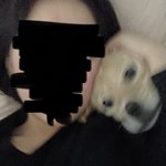 울 <b>강쥐</b> 사진 흔들린 거 봐