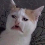 [드루와] 와 <b>진라면</b> 개존맛이다 미친