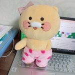 졸귀탱 <b>춘식</b>이와 함께 공부하기