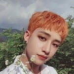 [스키즈] 얘들아 이거 <b>찬</b>이 사진 맞아?