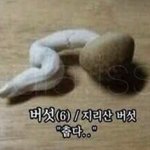 학종은 예비 ㅈㄴ안빠진다