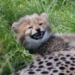 [NCT칠프] <b>크리스마스</b> 이브..