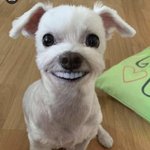 [댓글부탁해] 나 찐따인데 <b>롤링</b>페이퍼 어떻게 해?