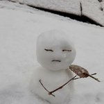 [사진있음] 나 코 존못이라 마기꾼인데 어케