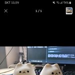 저랑 찍은 사진을 내리고 고양이 <b>무드</b>등 두개를 찍은걸로 바꿨는데...