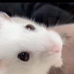 나를 별 ㅈ같은 이유로 <b>손절</b>한 애가 너무 싫으면 정상임?