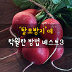 [50대] 탈모방지에 탁월한 방법 베스트