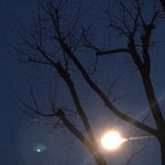 욕 쓰는 사람 보면 정<b>털</b><b>림</b>..?