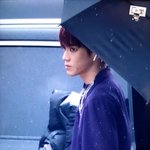 [이태용] <b>보스때</b>가 생각난다면,,,