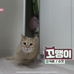 [댓글부탁해] 옷 잘입는 애드라ㅜㅜㅜㅜ