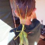 아빠 <b>벌레</b> 좀 떼주세요