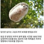 [드루와] *가족 썰 <b>풀자</b>*