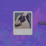 [더보이즈] 헉 콥이 커버곡 영상 올라왔다