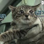 공부 꽤 잘하던 애가 재수한다 하면 뭔생각듦