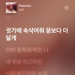 카이 <b>피치스</b> 들을수록 개좋네