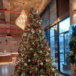 [드루와] +내 크리스마스 이브는 ㄹㅇ완벽했다