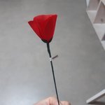 [댓글부탁해] 오늘 <b>올리브</b>영 가니까