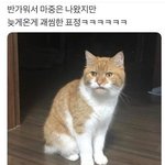 [댓글부탁해] 얘들아 인스타 <b>트리</b>