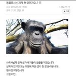 크리스마스에 혼자 노는거 좀 그래<b>버임</b>?