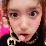 우리 강아지 아이브 <b>이서</b> 닮지 않았어?..