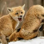 [댓글부탁해] <b>뷰러</b> 안 하는 게 나은 눈 특징은 뭐임…??