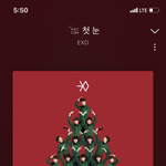 판녀들아 <b>메리</b>크리스마스 ❤️