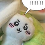 예비고2 사탐 선행 뭘로 하는게 좋아??