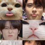 [NCT칠프] 잰냥파랑 잰뭉파랑 주기적으로 싸웠으면 좋겠다