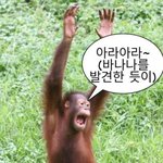 그냥 동영상에 인스타 부메랑 못 씌움?