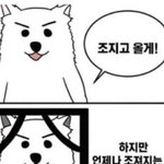 그냥 너무 <b>이상적</b>인 애들도 조카 눈새야