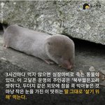 [생존] 누가 너 찍나보다