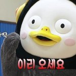 [NCT드림] 타팬인데요.....