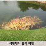 0.5kg 빼는 건 그렇게 어려운데 느는 건 왜<b>이리</b> 쉬울까
