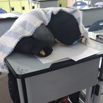 [이것좀봐줘] 고3인데 교실가니까 애들이 사람 만들어놓음ㅋㅋㅋ