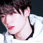 [드루와] <b>재현</b> 짤털