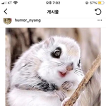 내 친구가 나 보면 이거 생각<b>난대</b>