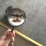 너넨 <b>학대</b>한 가족이 외할머니 챙기라고 하면 어쩔거임?