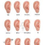 [댓글부탁해] 이게 좋아한다는 감정이야??